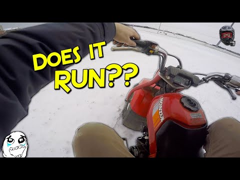 My New 1985 ATC 125m (Barn Find)