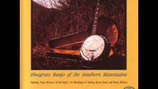 David Lindley - Bluegrass Mountain Medley