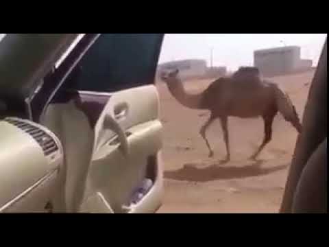 Kiki Challenge Arab Edition | Super Funny | 2018 | Trending | Drake - In my feelings