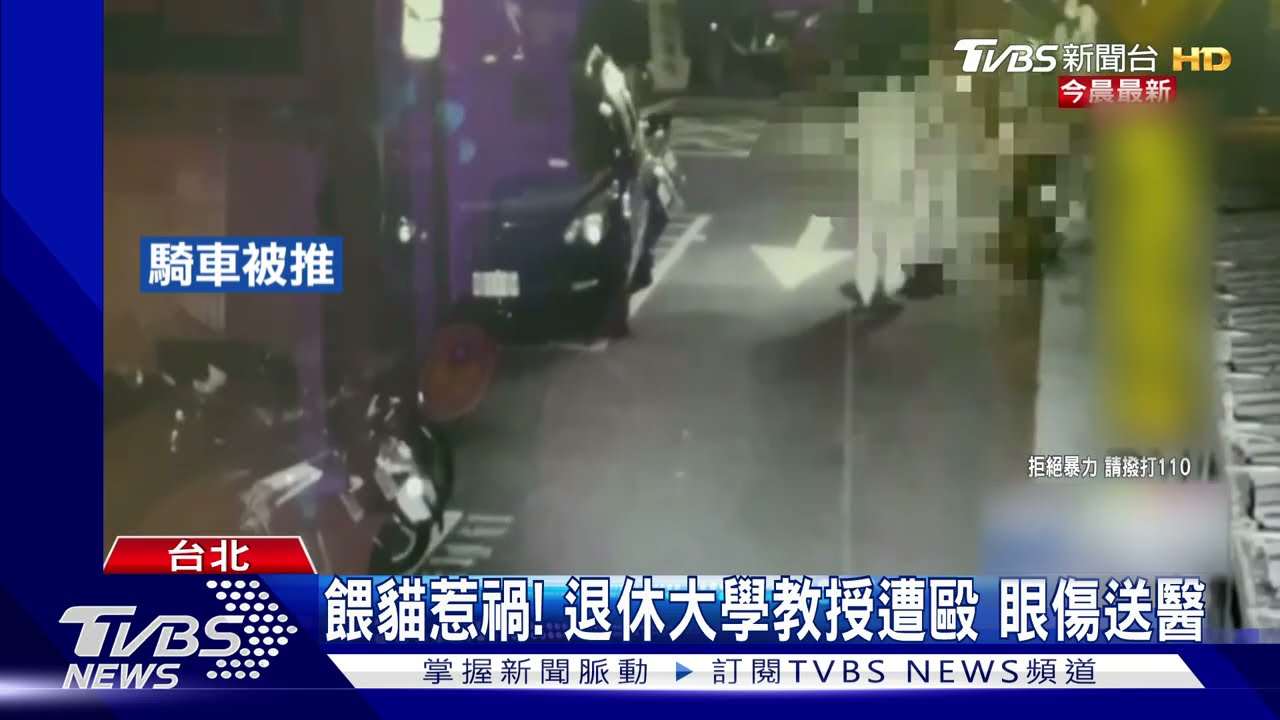 餵浪貓吃飯反「吃拳頭」! 世新大學退休教授蔡芳定遭2男毆傷