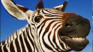 "Use your smile" de Ramon Mirabet #músicsdesantfeliu