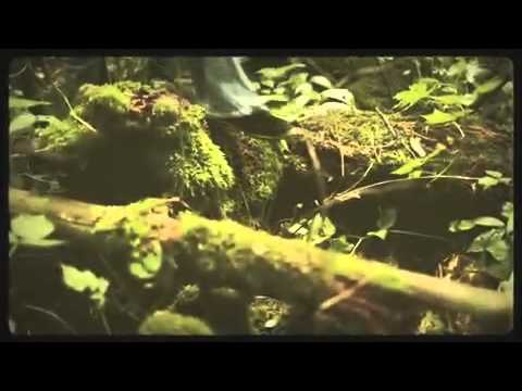 Elin Ruth feat. Lars Eriksson - Love (Official Video)