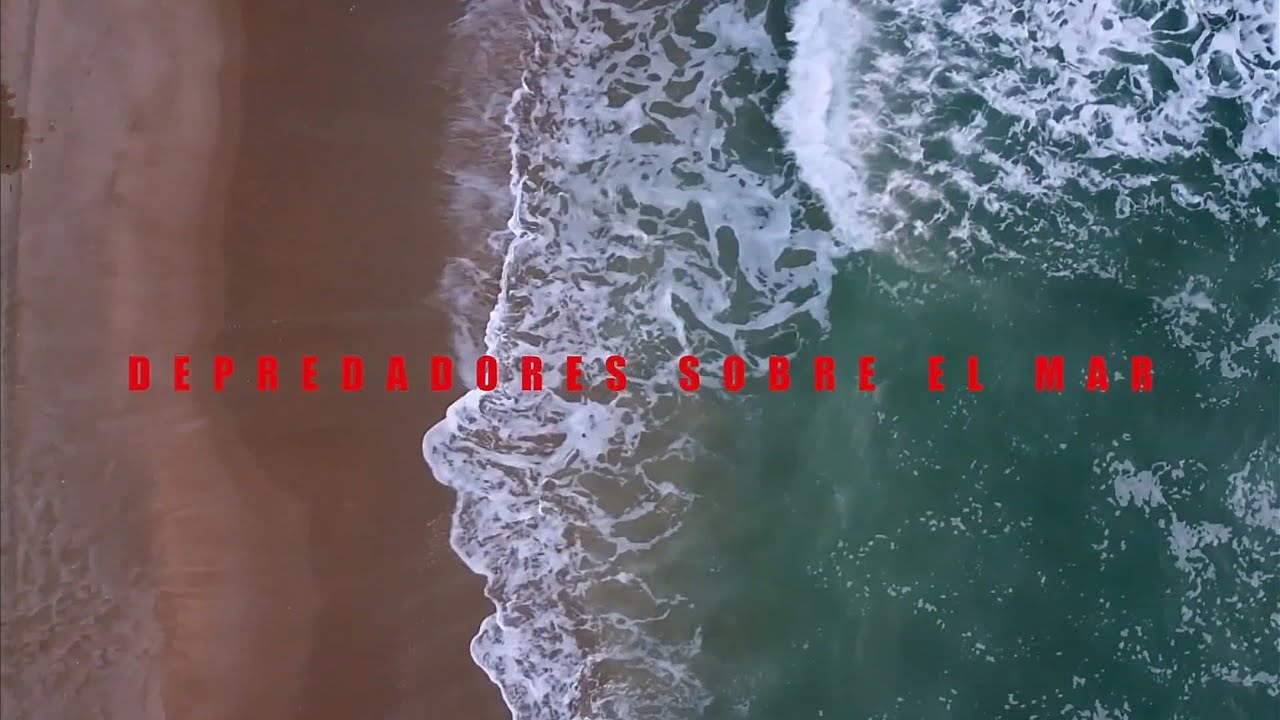 DEPREDADORES SOBRE EL MAR Teaser Trailer #1 (2025)