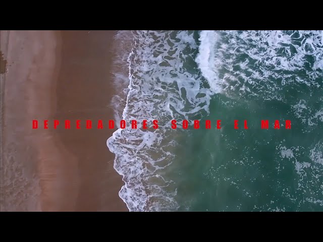 DEPREDADORES SOBRE EL MAR Teaser Trailer #1 (2025)