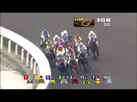 Mega Red - Karis Teetan (19 february)