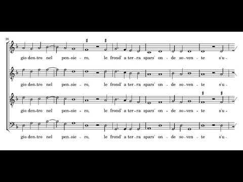 Verdelot: Trist'Amarilli mia - Profeti della Quinta