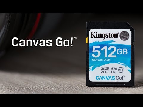 Class 10 UHS-I SDHC/SDXC Cards - Canvas Go! - Kingston Technology