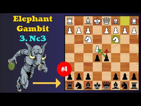 Tricky Elephant Gambit - 4 (3.Nc3)