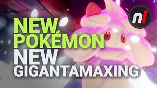 NEW Pokémon, NEW Other Things | Pokémon Sword & Shield Nintendo Switch