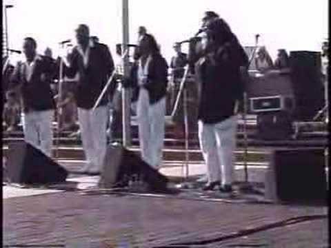 The Ad Libs Live In Liberty State Park 1991