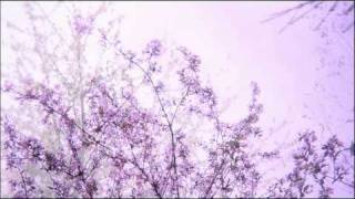 Jóhann Jóhannsson - HOW WE LEFT FORDLANDIA