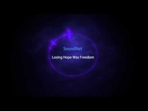SoundNet - Losing Hope Was Freedom [Free Download]