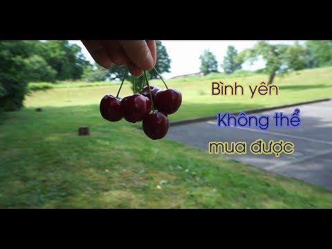 Vlog #20: Một chiều bình yên sau sân nhà Dì Cúc!!!! My Huong Vlog _ My Huong Cuộc Sống Pháp Video
