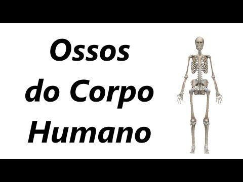 Ossos do Corpo Humano em 3D