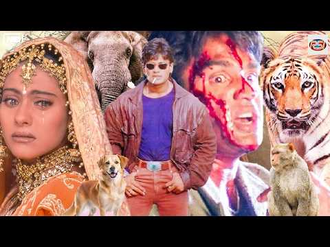 सुनील शेट्टी की अब तक की खतरनाक एक्शन हिंदी मूवी । Kajol । Action Romantic Hindi Full Movie