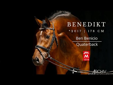 BENEDIKT *2017 v. Ben Benicio - DSP-EH Quaterback