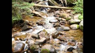 Awakening ~ Sara Groves