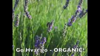 preview picture of video 'Go Hvar go   ORGANIC!'