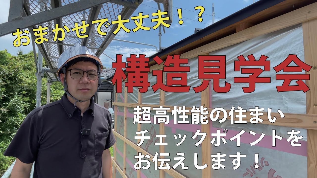 動画をチェック