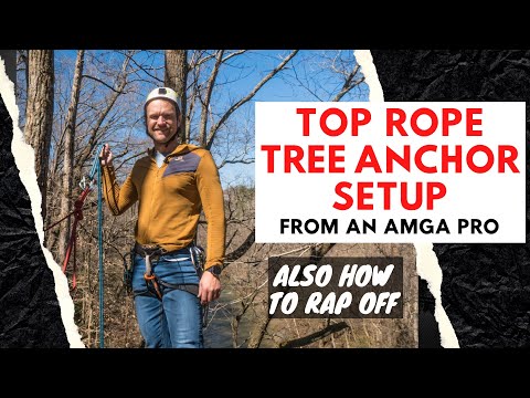 Setting Up a Top Rope Anchor | using tree anchors and then rappelling down
