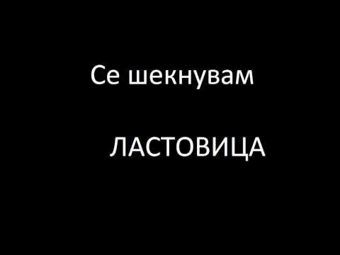 Se seknuvam - Lastovica