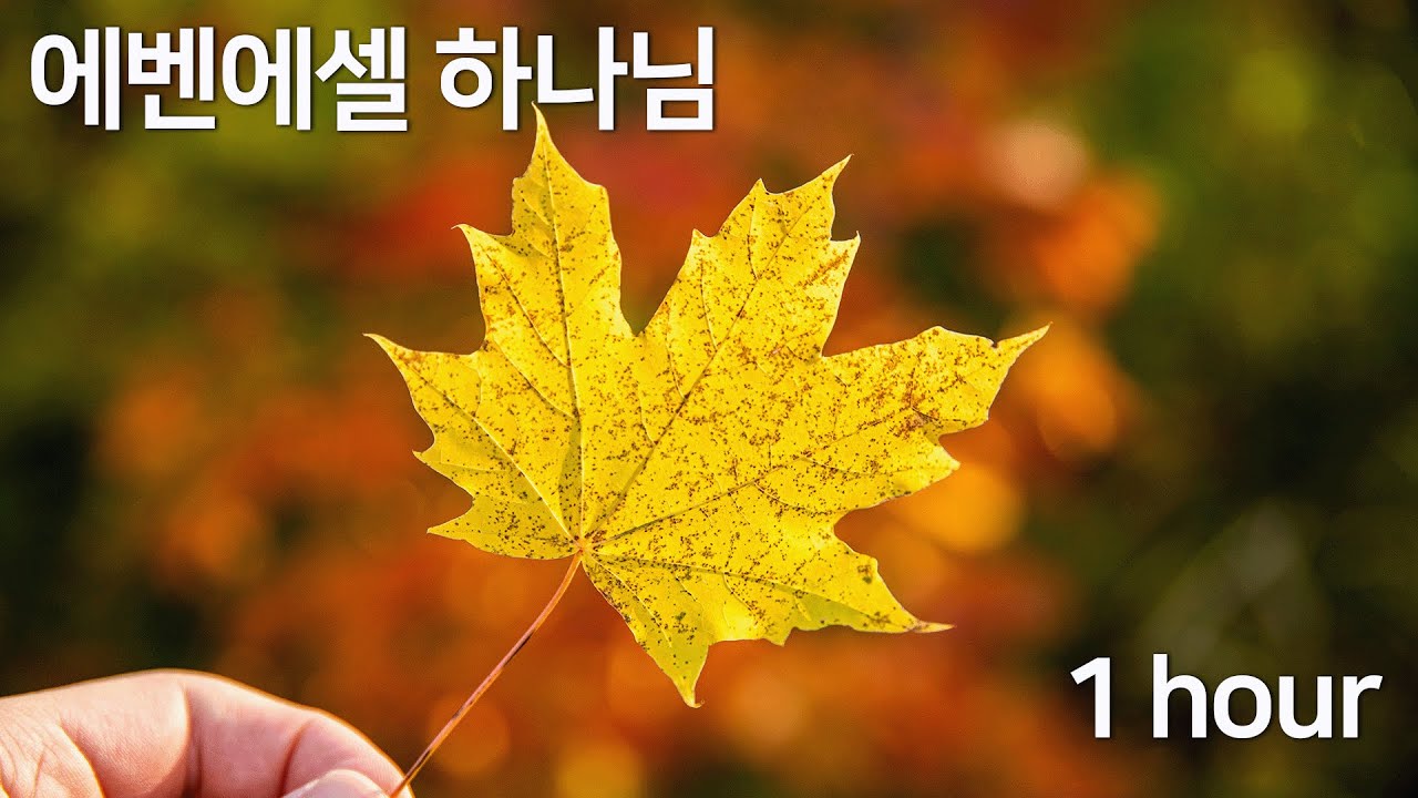 감사합니다 💙🩵💙🩵💙
