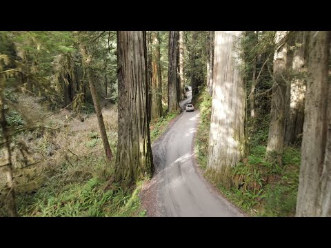[미국일주 Ep.7] Redwood National and State Park