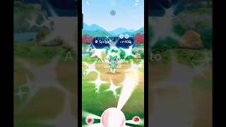 A Shiny Green Cat appeared!! ✨ Pokemon Go//#shinypokemon #pokemongo #shorts #sprigatito