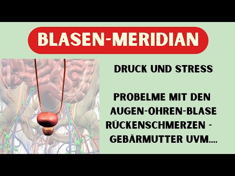 YOUR BLADDER MERIDIAN - Pressure - Stress - Back problems - Bladder - Uterus