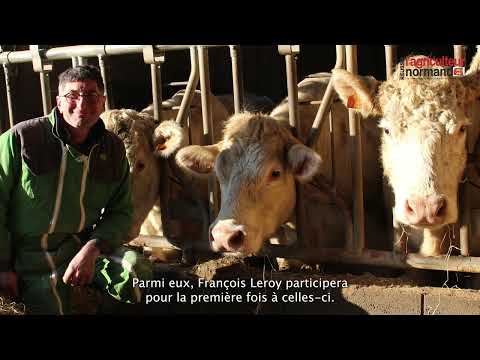 Des journées portes ouvertes avec le syndicat race Charolaise de l'Orne