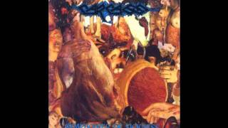Carcass - Ruptured In Purulence