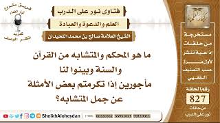 10195 - ما هو المحكم والمتشابه من القرآن والسنة ؟ - نور على الدرب image