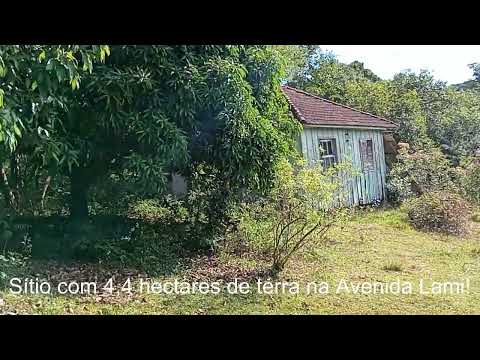 Vídeo
