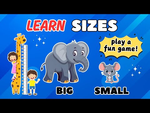 Size Comparison for Kids | Big and Small, Long and Short