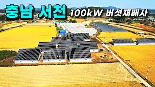 완전 평지인 건물형 버섯재배사 100Kw 2구좌 양도양수, 일사량 매우 좋음