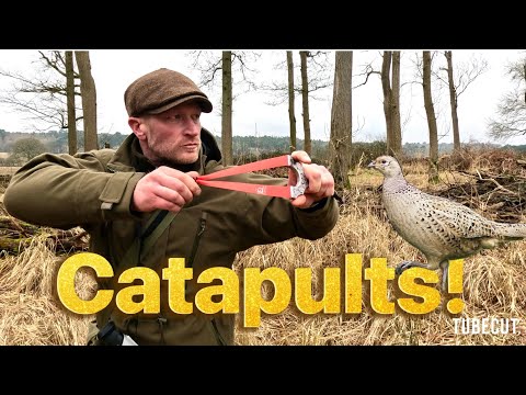 Catty Shack | Catapult Hunting | Goblet EVO