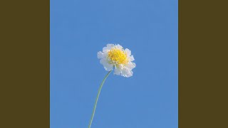 Download lagu Run it up mp3