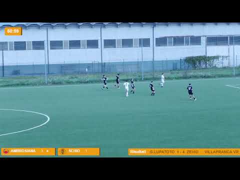 AMBROSIANA vs SCHIO U. 19 ELITE GIR. A 2 T.