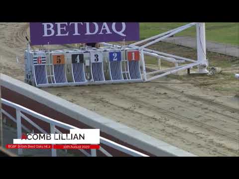 Acomb Lillie - BGBF British Bred Oaks Heat 2