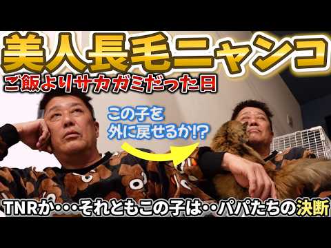 ご飯よりサカガミ・・・その子を外に戻せますか？！