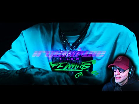 ProjektPi REACTS to t-low - irgendwie