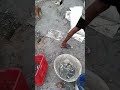 Pandit Raj Www Xxx Video