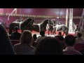 Horse Segment At Circus Hollywood Altamont Fair 8 15 2015