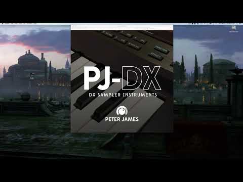 PJ-DX Walkthrough