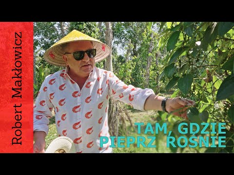 ROBERT MAKŁOWICZ WIETNAM odc.168  „Phú Quốc. Tam, gdzie pieprz rośnie".