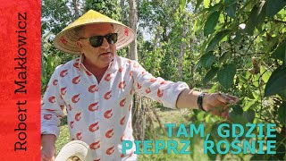 Phú Quốc. Tam, gdzie pieprz rośnie. (odc. 168)