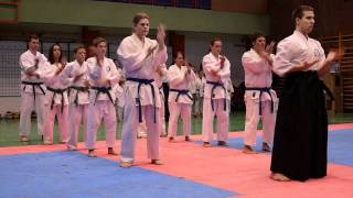 preview picture of video 'Szigethalom, Karate Bemutató 2011.12.17. 1.'