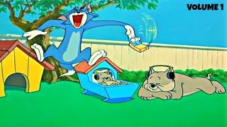 Tom and Jerry (2019) - Top Tom Scream Compilation