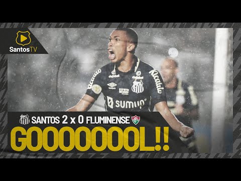 SANTOS 2 X 0 FLUMINENSE | GOLS | BRASILEIRÃO (27/10/21)