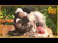 The Jungle Bunch Behind The Wheel Jungle Bunch 45 Compilation Cartoon For Kids